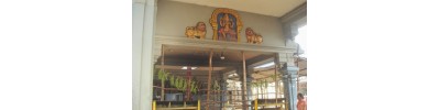 ரேணுகா தேவி - படவேடு - தமிழ்நாடு